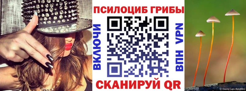Галлюциногенные грибы прущие грибы  Шумиха 